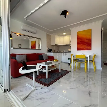Teror 503